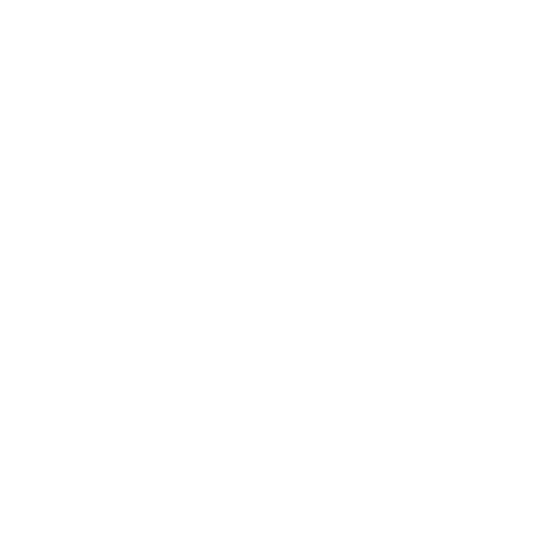 Northern Therapy SRT Inc