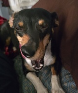 Book an Appointment with Kaite Hehr at ACMT - Grande Prairie