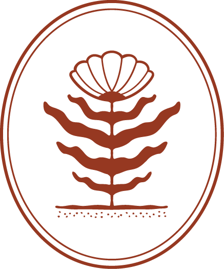 Atelier Medical Aesthetics